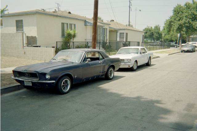1968 Ford Mustang “Project Car”