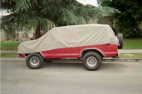 1990 Ford Bronco - The mystery bronco.'78 or '79 I have seen it for months just peeking out from under this cover. Maybe one day I'll see it uncovered.