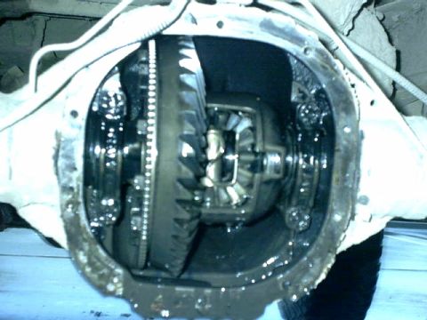 1995 Ford Bronco - Differential housing interior with gears visible, likely from a truck or SUV.
