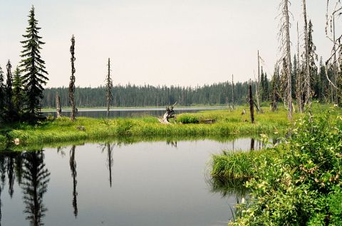 1979 Ford Bronco - Swamp at Takalak lake