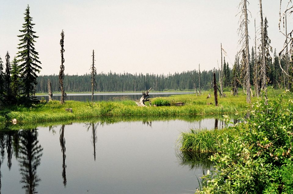 Swamp at Takalak lake