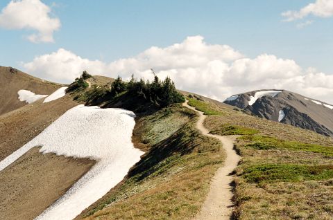 1979 Ford Bronco - Path along the high ridge