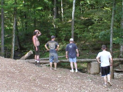 1979 Ford F-150 - A group of men observe a natural scene in a forest, with a log bridge crossing a small stream.