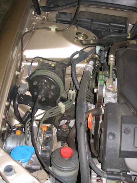 2000 Honda Accord “Gertrude”