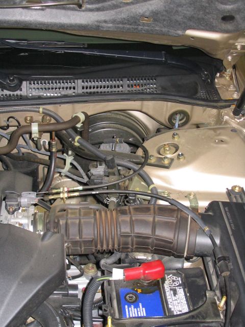 2000 Honda Accord “Gertrude”