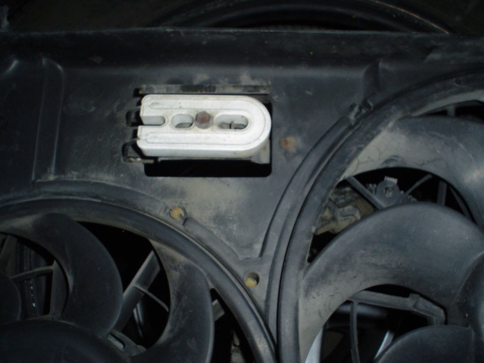 thing on the fans