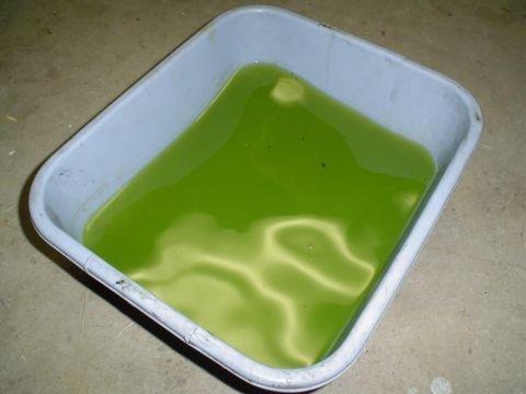 1993 Ford Taurus - the coolant I was able to recover.. and a few bugs too..