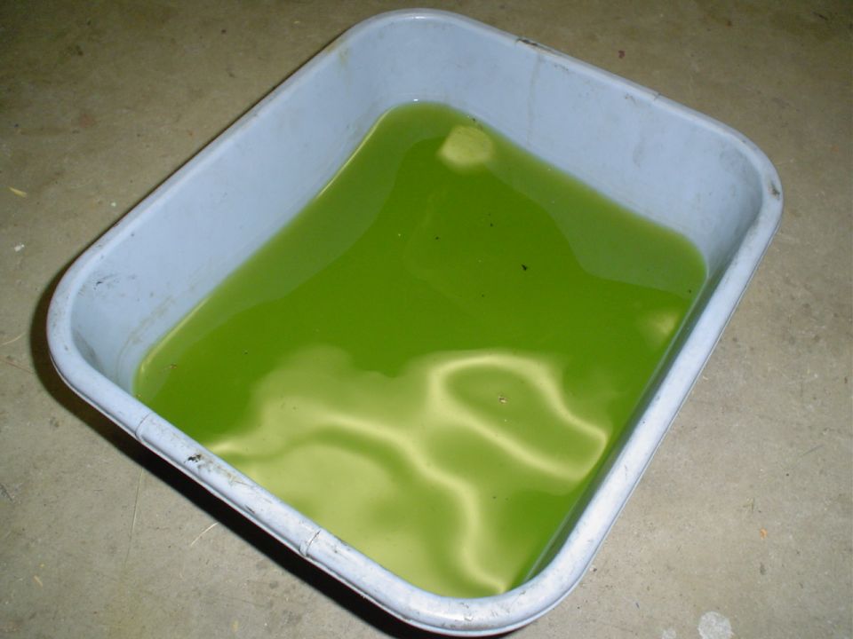 the coolant I was able to recover.. and a few bugs too..