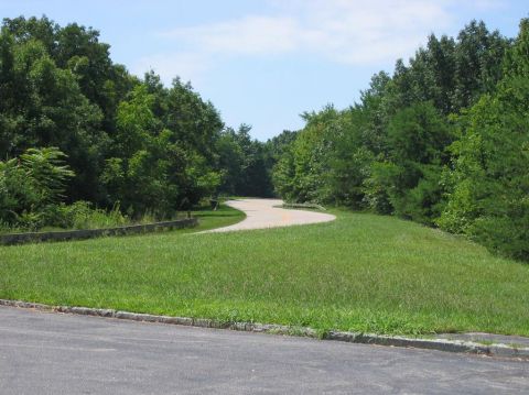 1985 Ford LTD Crown Victoria - A paved road curves through a landscape bordered by lush green trees under a bright blue sky.