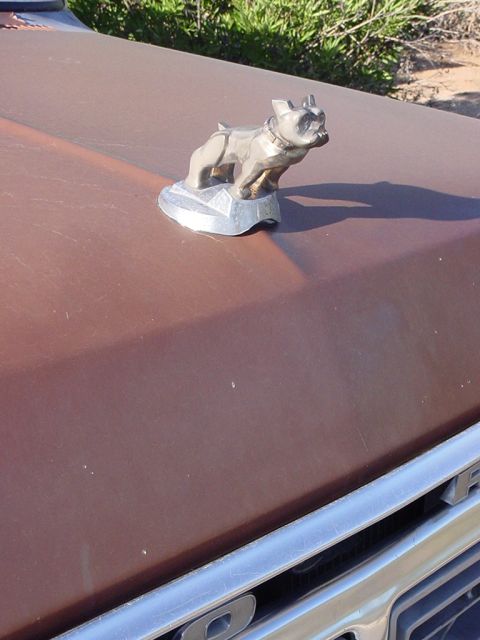 1977 Ford F-250 - A bulldog hood ornament sits on the hood of a brown vehicle. The image also shows a chrome trim piece and part of the grille.