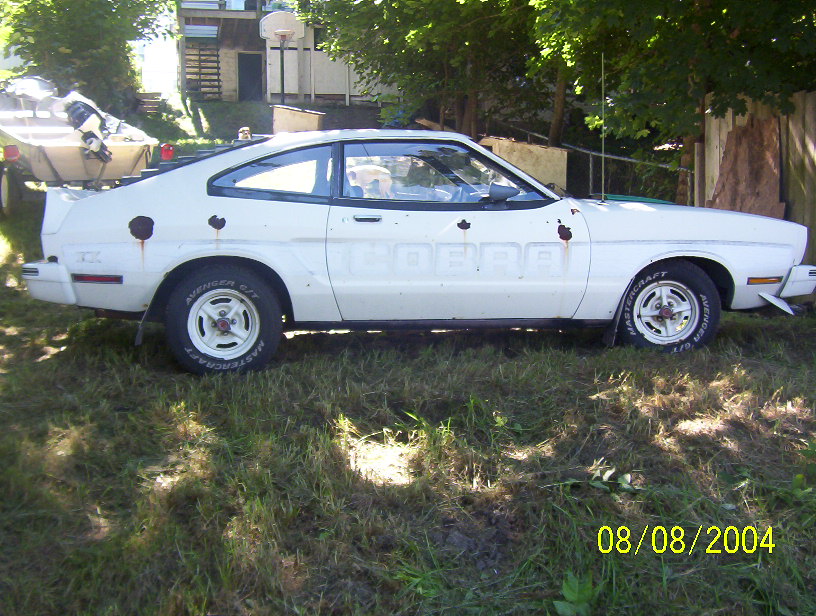 White Mustang II Cobra hatchback parked in side view on grass