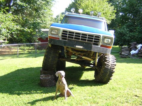 1979 Ford Bronco - Modified 1979 Ford Bronco on display with a dog in the yard.