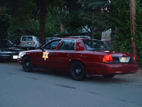 1999 Ford Crown Victoria - Police car with sheriff star badge parked on a residential street.
