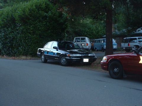 1999 Ford Crown Victoria - A black sedan is parked on the side of the road with other vehicles visible behind it.