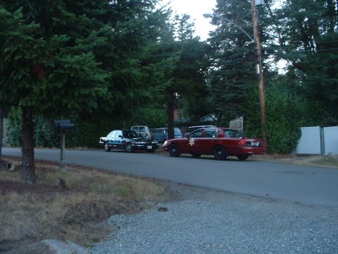 1999 Ford Crown Victoria - Two sedans, one appearing to be a police vehicle, are parked on a street lined with trees and houses.