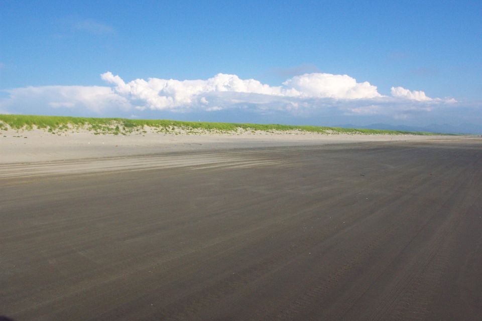 Wide flat sandy beach with tire tracks under blue sky and a low green dune line