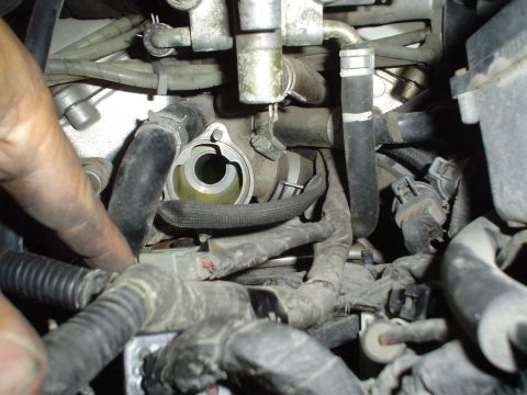 1993 Ford Taurus - the thremostat location is reachable without removing the intake.