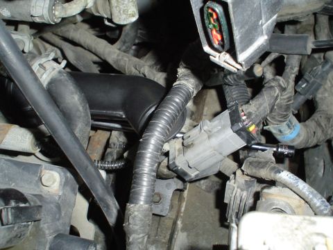 1993 Ford Taurus - The thermostat housing is installed.