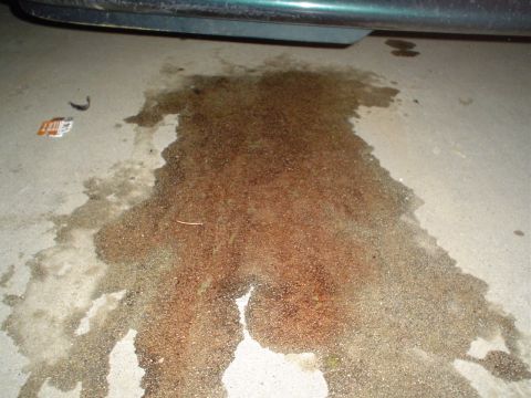 1993 Ford Taurus - And the rest of the trans fluid is on the driveway.