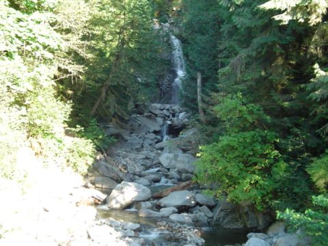 1993 Ford Bronco - A scenic view of a waterfall flowing through a rocky gorge surrounded by lush green trees.