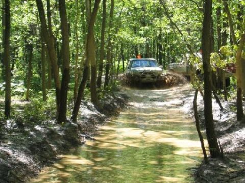 1995 Ford Bronco - Gators turning Dave's rig into a submarine