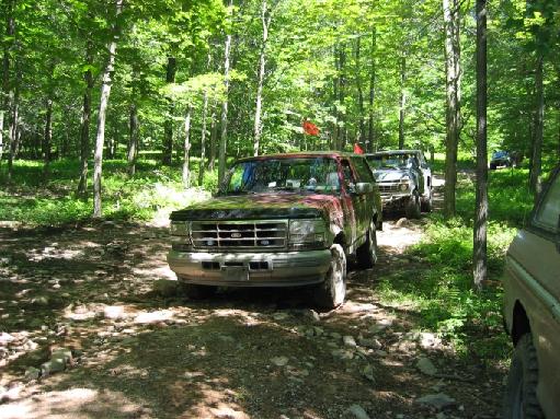 Muddy older Ford pickups with whip flags lined up on a dirt trail in the woods