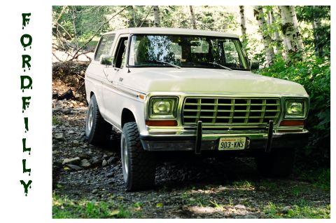 1979 Ford Bronco - New photo