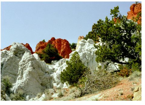 1977 Ford F-150 - A scenic view of colorful rock formations and evergreen trees under a bright blue sky.