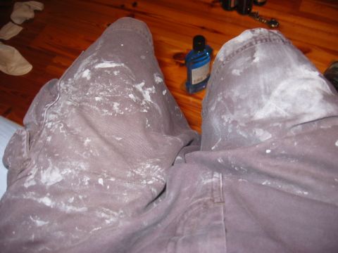 2003 Ford Taurus - pants