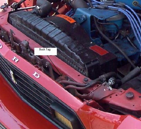 1978 Ford Mustang II - Engine bay detail with a label indicating a 'Buck Tag' near the radiator.