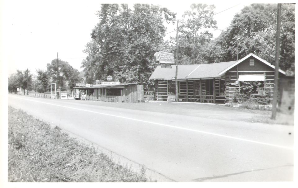 Log cabin diner and roadside businesses along a highway