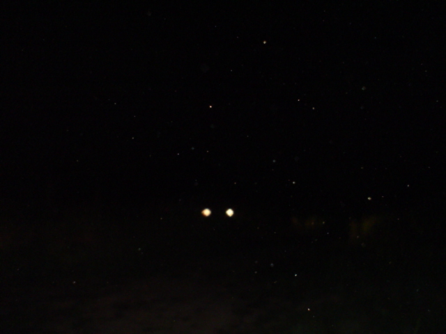 Two glowing headlights in the darkness, with a watermark at the bottom right