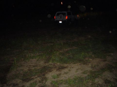 1993 Ford Bronco - Rear view of a 1993 Ford Bronco at night, with its spare tire mounted on the tailgate.