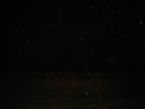 1993 Ford Bronco - A dark scene with only faint lights visible, making identification impossible.