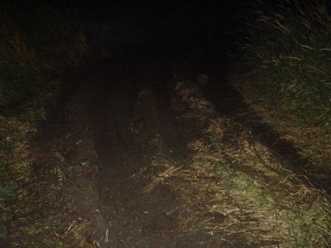 1993 Ford Bronco - A vehicle navigates a dark, grassy trail at night, likely off-roading.