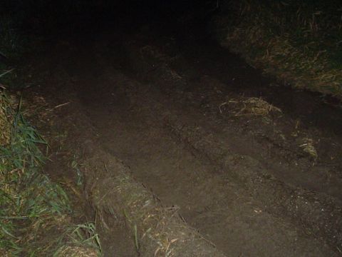 1993 Ford Bronco - A muddy track with grass and debris is visible in the dark, with a Supermotors.net logo in the corner.