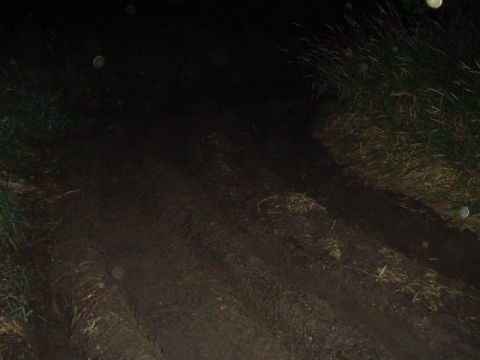 1993 Ford Bronco - A muddy track is visible through tall grass at night, with a watermark for Supermotors.net in the lower right corner.