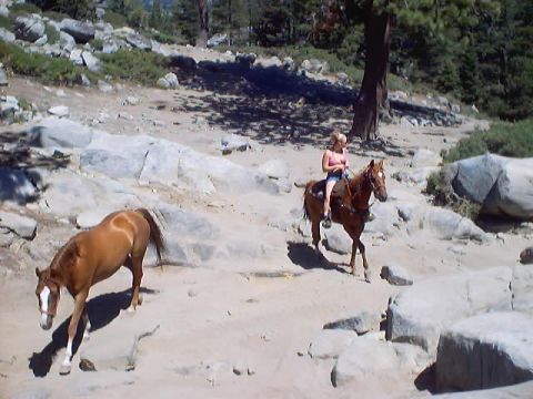1976 Ford F-100 - A person rides a horse through a rocky, outdoor landscape with another horse nearby.