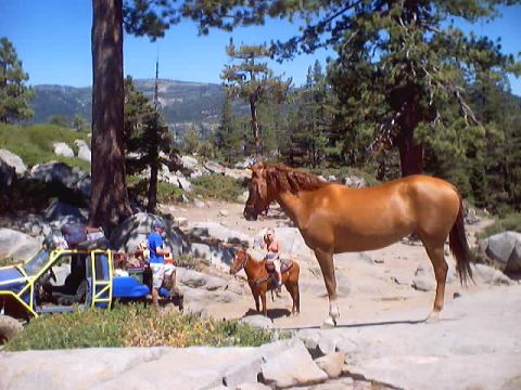 1976 Ford F-100 - An off-road vehicle is parked near horses and people in a scenic, mountainous landscape.