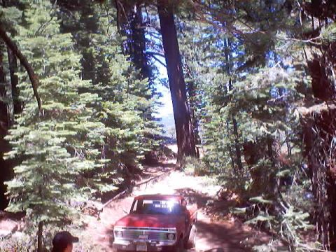 1976 Ford F-100 - A red pickup truck navigates a wooded trail, its front grille and headlights visible.