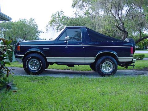 1988 Ford Bronco - Side view of a dark blue 1988 Ford Bronco, a tan stripe and a black soft top.