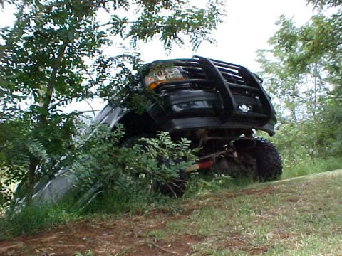 1995 Ford Bronco - A black SUV, possibly a 1995 Ford Bronco, is seen partially hidden by trees and foliage, with its front grille and bull bar prominent.