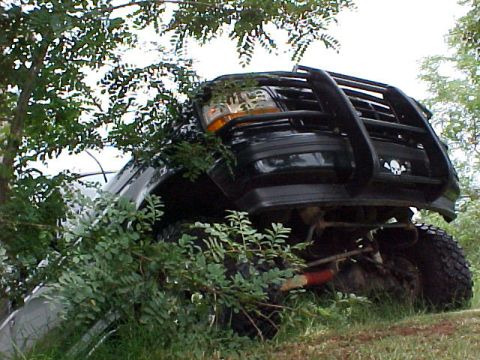 1995 Ford Bronco - Front view of a 1995 Ford Bronco with a brush guard, seen off-road with vegetation.