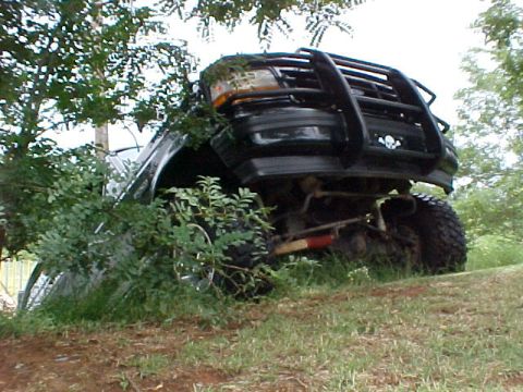 1995 Ford Bronco - A black SUV with a bull bar is seen tilted on a grassy hill, surrounded by trees and bushes.