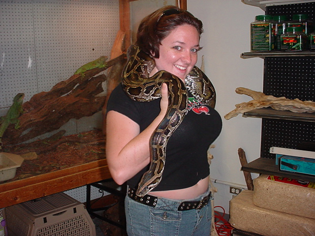 Woman in black tank top draped with a large boa or python in a reptile shop