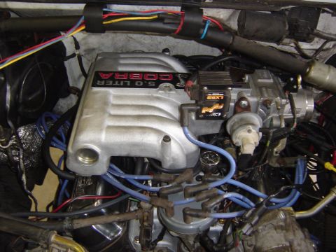 1993 Ford Bronco - Overhead engine-bay shot of a 5.0-liter V8 wearing a cast aluminum Cobra upper intake manifold with red 'COBRA 5.0 LITER' lettering. Blue s…
