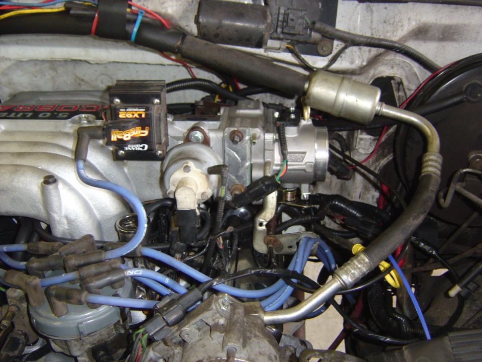 Installed 5.0 Cobra intake with Crane Fireball LX92 module, blue plug wires and throttle body