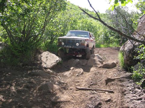 1985 Ford Bronco - A modified Ford Bronco tackles a challenging, rocky off-road path surrounded by dense foliage.