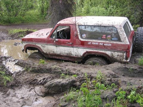 1985 Ford Bronco - A red and white Ford Bronco is stuck in a muddy trail, with trees and foliage in the background.