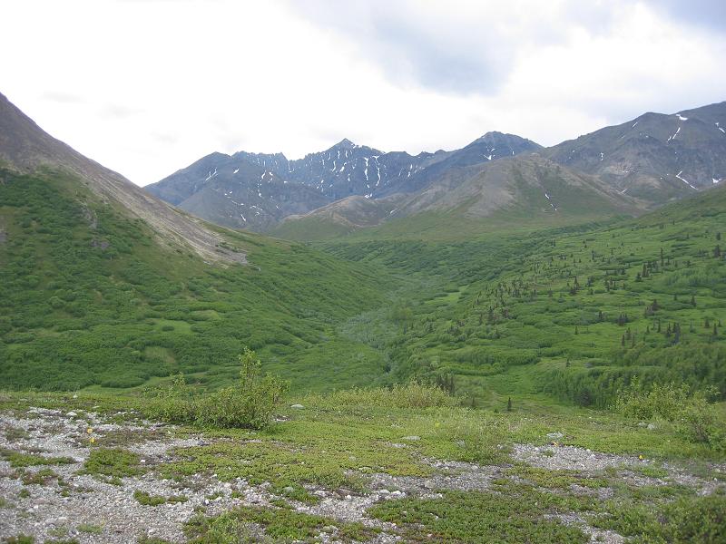 Green alpine valley with snow-streaked mountain ridges under overcast sky